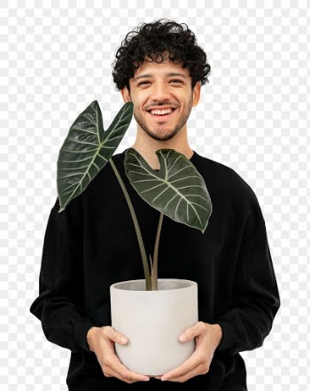 Png happy plant parent mockup  holding potted… | Free stock illustration | High Resolution graphic