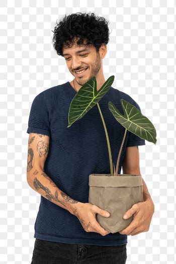 Png happy plant parent mockup  holding potted… | Free stock illustration | High Resolution graphic