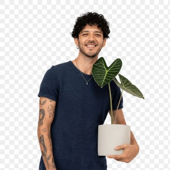 Png happy plant parent mockup  holding potted… | Free stock illustration | High Resolution graphic