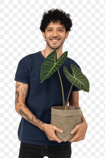 Png happy plant parent mockup  holding potted… | Free stock illustration | High Resolution graphic