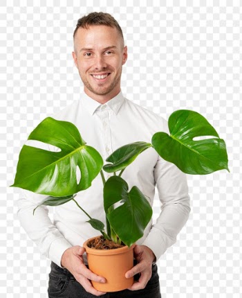 Png happy plant parent mockup holding potted… | Free stock illustration | High Resolution graphic