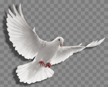 PNG Holy Spirit Transparent Holy Spirit.PNG Images. | PlusPNG