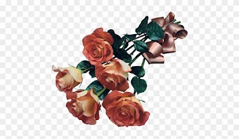 Png Home Site - Roses Psd