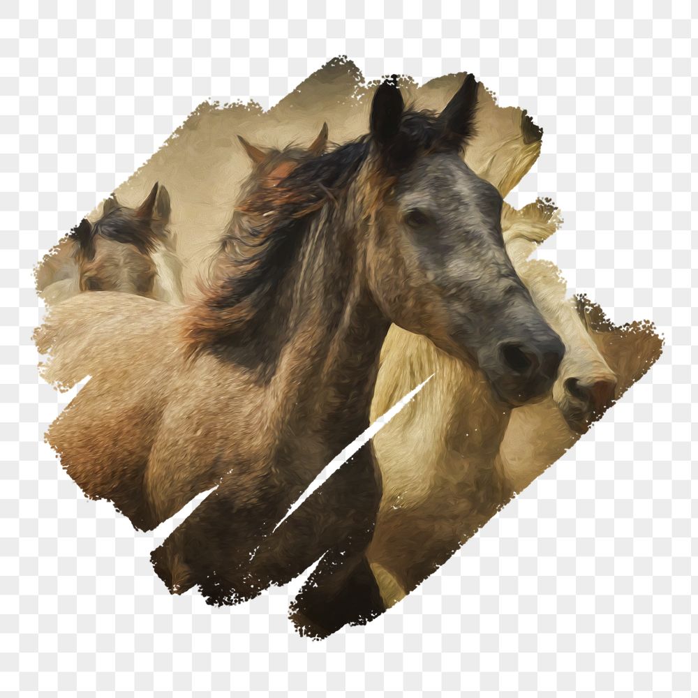 PNG horse sticker, brush stroke | Free PNG - rawpixel