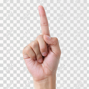 PNG: Human Hand Gesture with Extended Index Finger