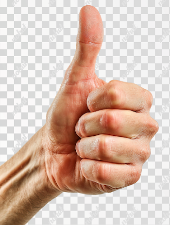 PNG Human Hand Thumbs-Up Gesture