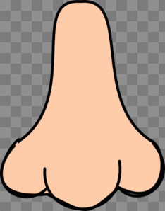 PNG Human Nose Transparent Human Nose.PNG Images. | PlusPNG