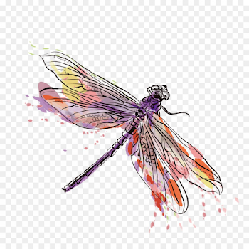 Png Insect Euclidean Vector Dragonfly Vector Ink Drago | SHOPATCLOTH