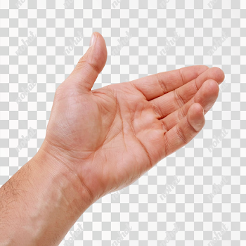PNG Isolated Human Hand and Forearm