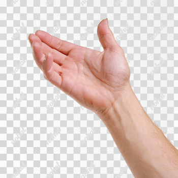 PNG Isolated Human Hand Close-Up