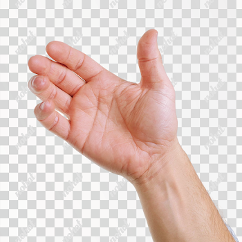 PNG Isolated Human Hand Close-Up