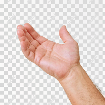 PNG Isolated Human Hand Close-Up for Medical Reference