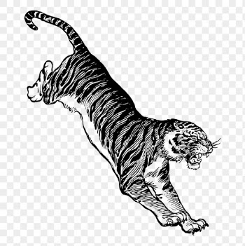 PNG jumping tiger, vintage animal | Free PNG Illustration - rawpixel