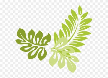 Png Jungle Leaf Transparent Jungle Leaf - Leaf Border Clip Art