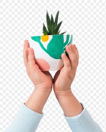 Png kid's hand mockup holding potted aloe… | Free stock illustration | High Resolution graphic