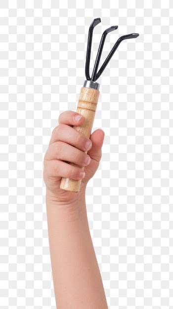 Png kid's hand mockup holding small rake… | Free stock illustration | High Resolution graphic