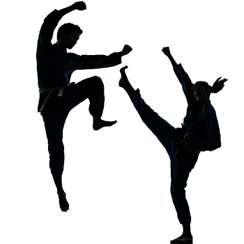 PNG Kung Fu Transparent Kung Fu.PNG Images. | PlusPNG