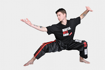PNG Kung Fu Transparent Kung Fu.PNG Images. | PlusPNG