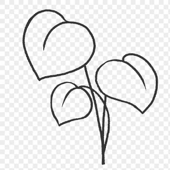 Png linden tree leaf sticker, | Free PNG - rawpixel
