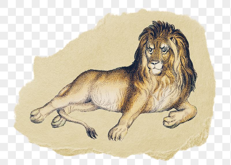 Png lion sticker, Oliver Goldsmith's | Free PNG - rawpixel