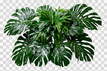 PNG Lush Tropical Foliage Arrangement