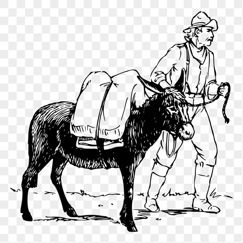 Png man and donkey sticker | Free PNG - rawpixel