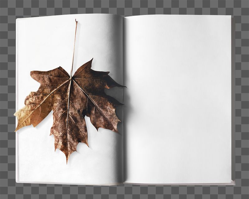 Png maple leaf bookmark sticker, | Free PNG - rawpixel