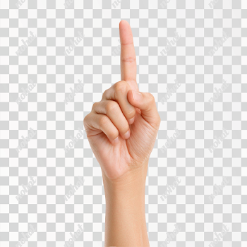 PNG Minimalist Human Hand Gesture Photo