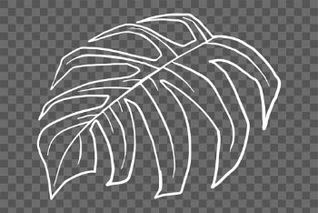 PNG monstera leaf sticker doodle botanical… | Free stock illustration | High Resolution graphic
