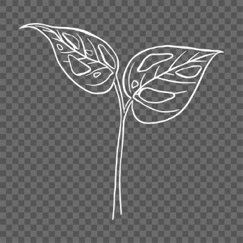PNG monstera swiss cheese leaf sticker doodle… | Free stock illustration | High Resolution graphic
