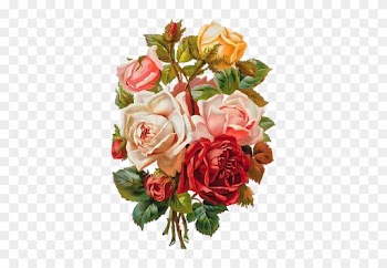 Винтажные Цветы В Png Для Декупажа - Mother's Day Roses Throw Blanket