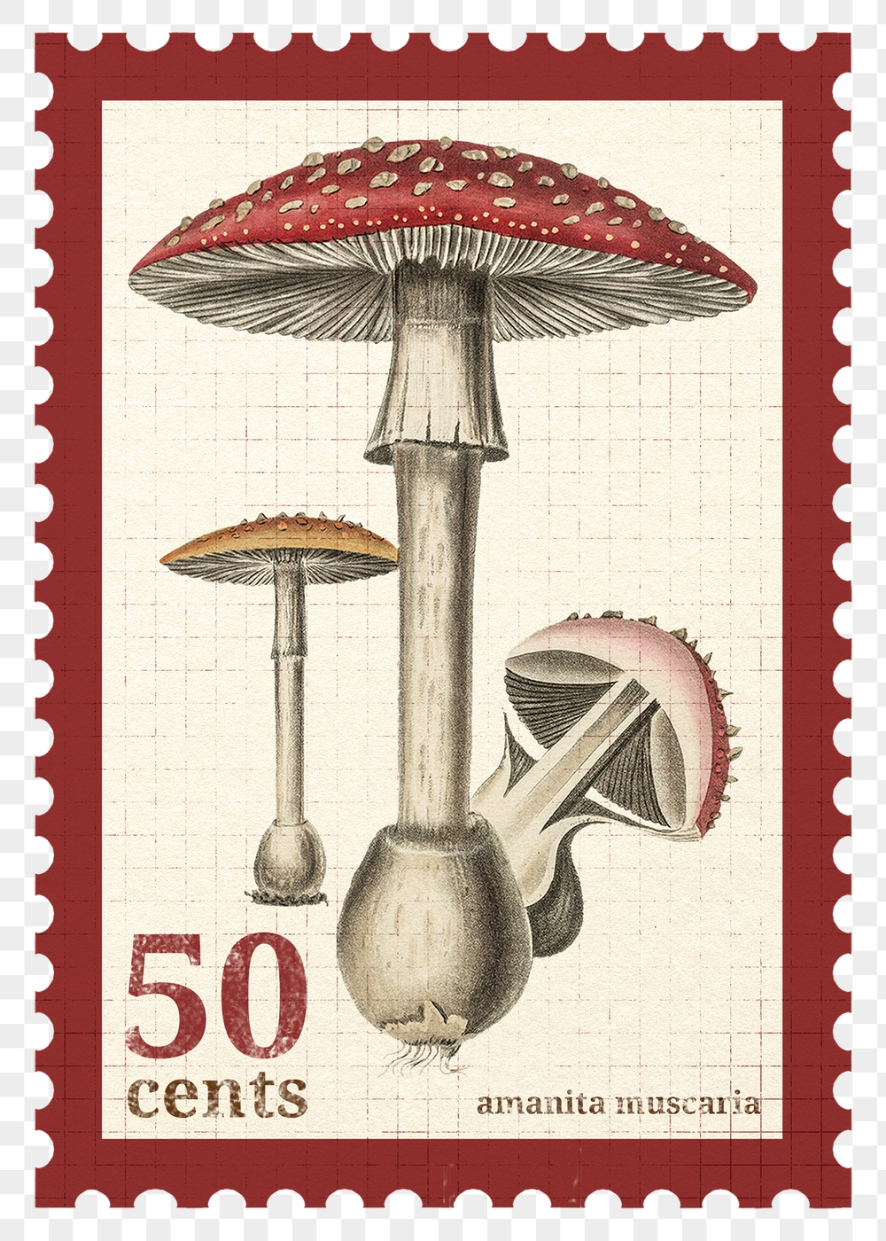 Png mushroom stamp sticker, transparent | Free PNG - rawpixel