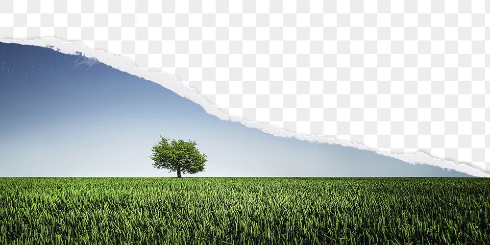 PNG nature border, ripped paper, | Free PNG - rawpixel