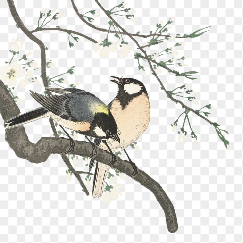 Png Ohara Koson's bird sticker, | Free PNG - rawpixel
