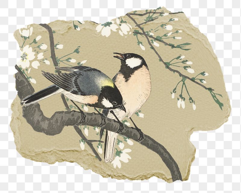Png Ohara Koson's bird sticker, | Free PNG - rawpixel