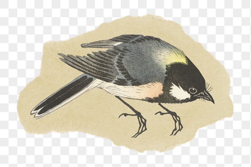 Png Ohara Koson's bird sticker, | Free PNG - rawpixel