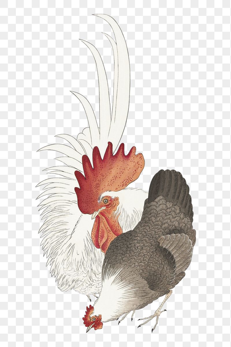 Png Ohara Koson's chicken sticker, | Free PNG - rawpixel