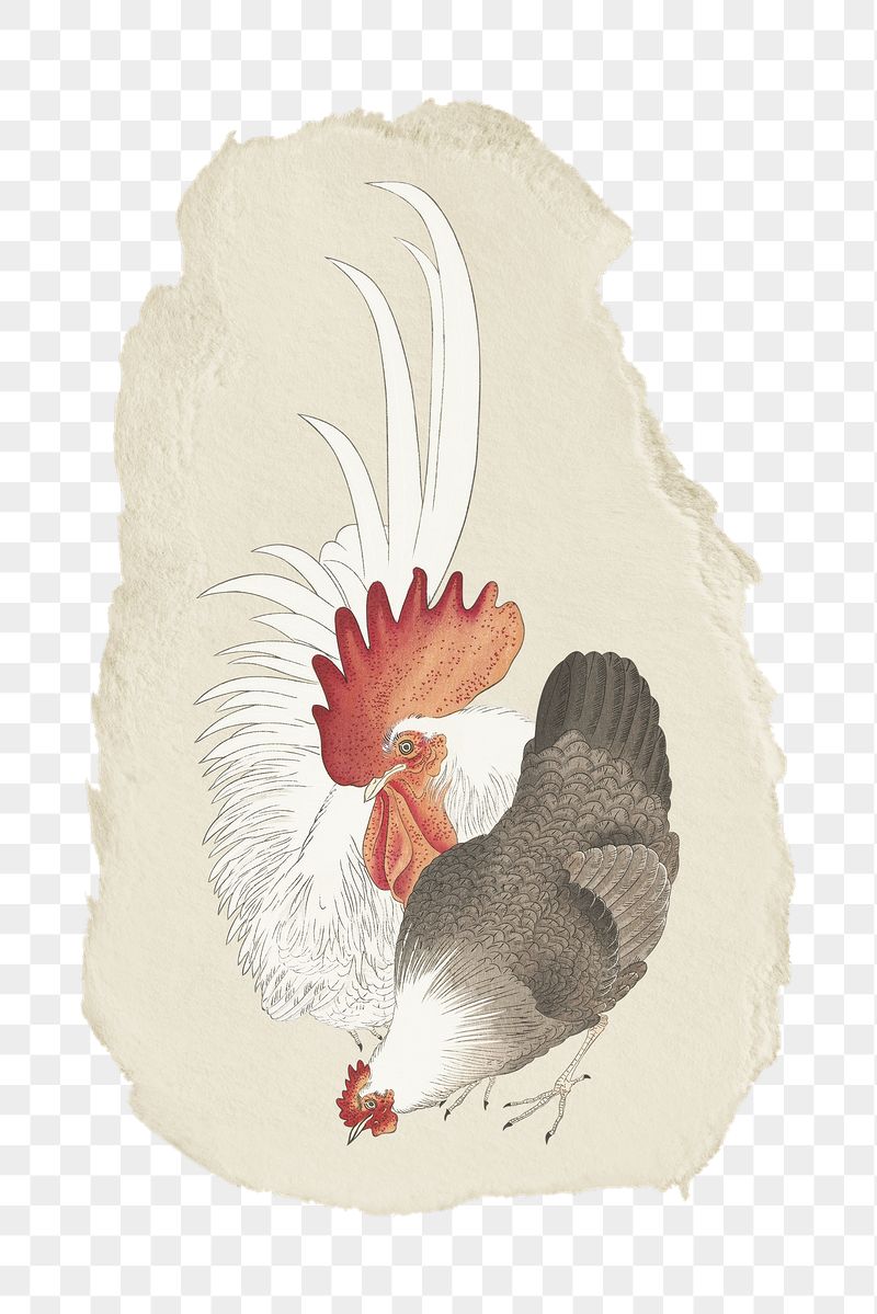 Png Ohara Koson's chicken sticker, | Free PNG - rawpixel