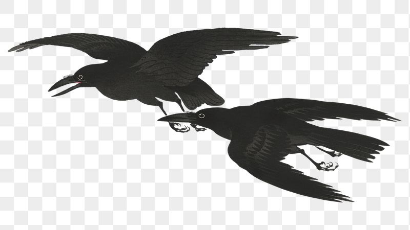 Png Ohara Koson's Crow sticker, | Free PNG - rawpixel