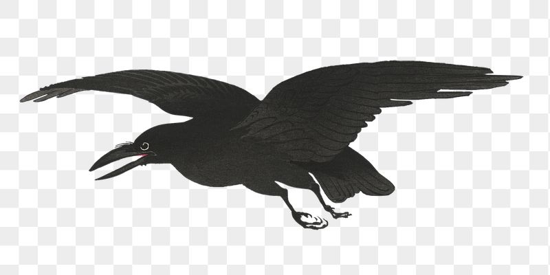 Png Ohara Koson's Crow sticker, | Free PNG - rawpixel