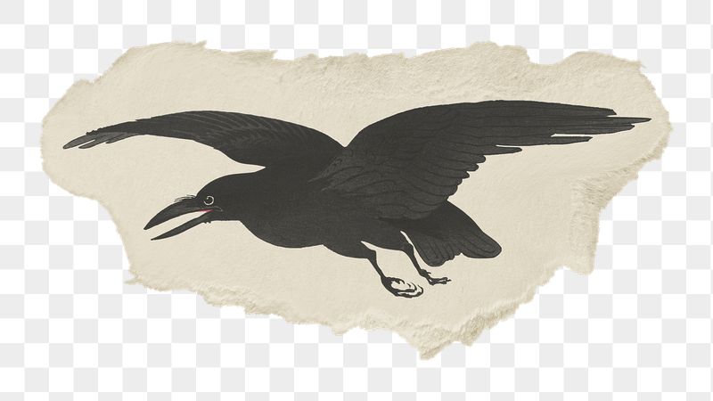Png Ohara Koson's Crow sticker, | Free PNG - rawpixel