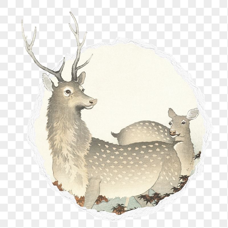 Png Ohara Koson's deers sticker, | Free PNG - rawpixel