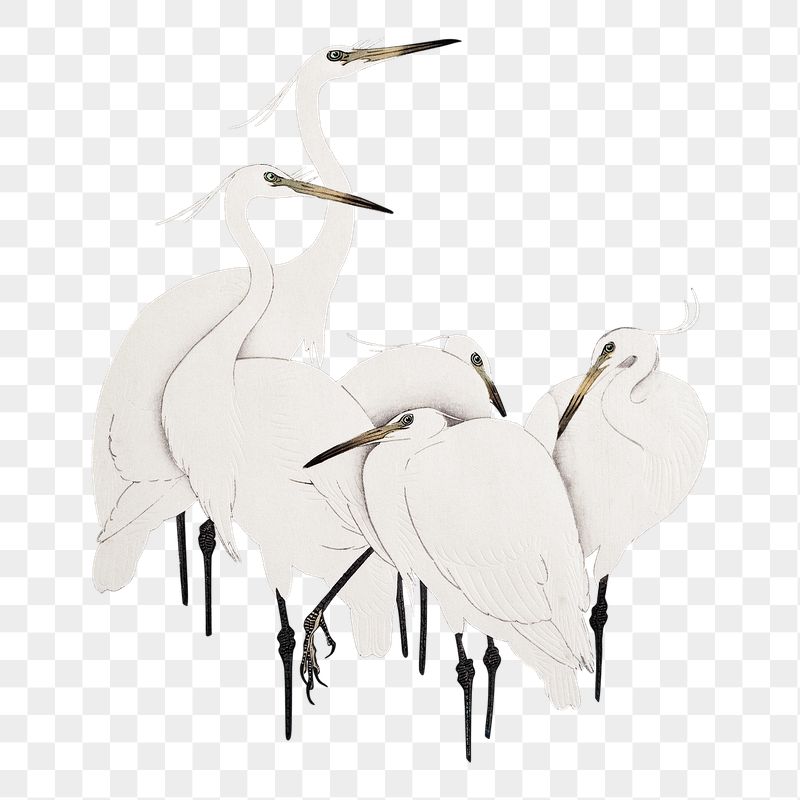 Png Ohara Koson's egret sticker, | Free PNG - rawpixel