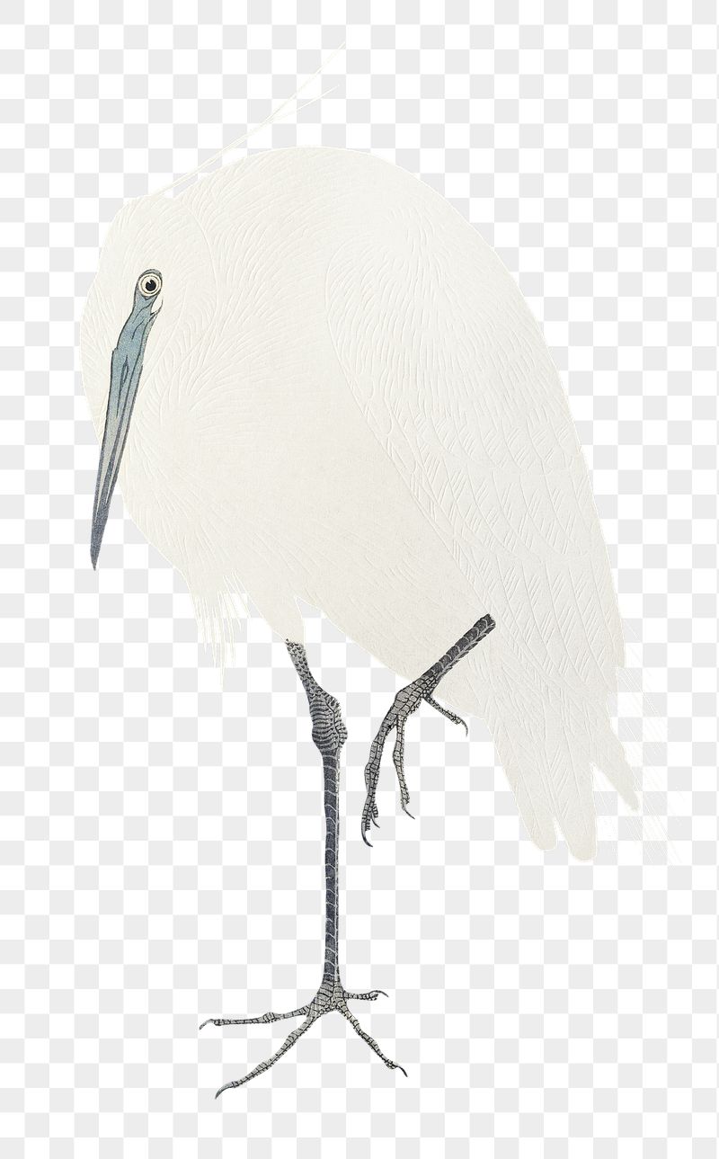 Png Ohara Koson's egret sticker, | Free PNG - rawpixel