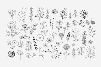 Png Pack (90+ images in Collection) Page 2