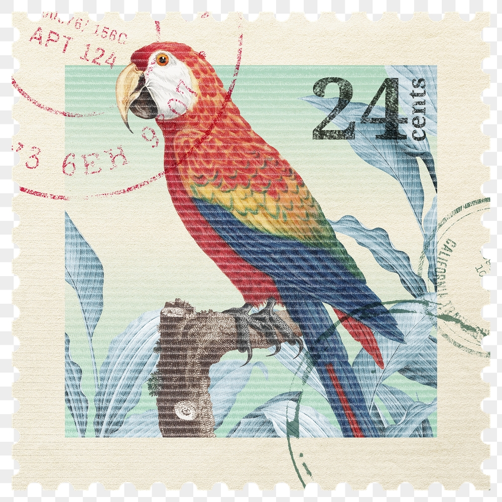 Png parrot stamp sticker, transparent | Free PNG - rawpixel