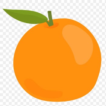 Png pastel orange fruit sticker cartoon clipart