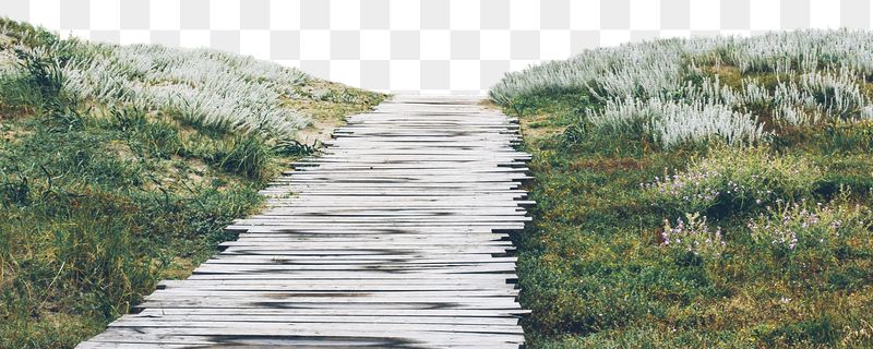 Png path toward beach border | Free PNG - rawpixel