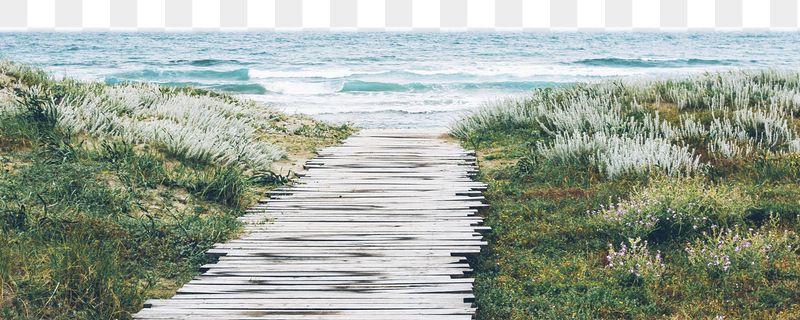 Png path toward beach border | Free PNG - rawpixel