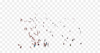 Png People On Beach Aerial View - People On Beach Aerial Png